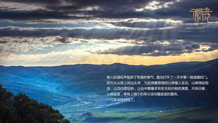 塞尔：哈维在圣诞前做出离职决定，因为压力太大且得不到认可