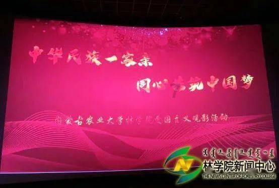 蜗牛寻新房7
