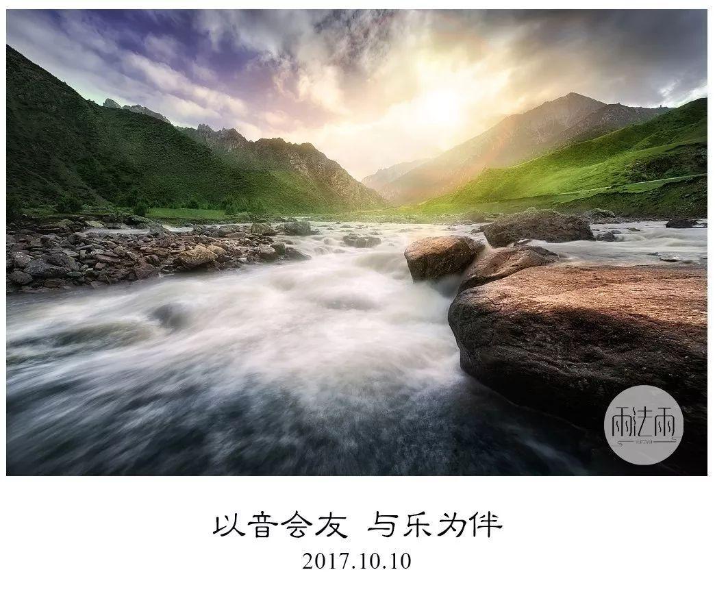解救野生狐狸