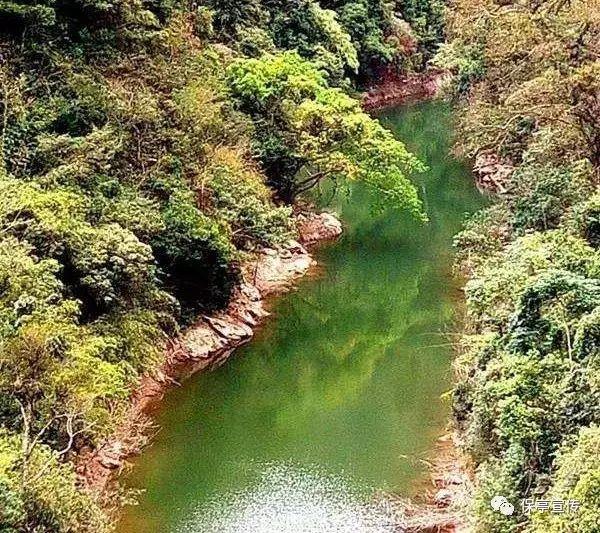 春节即将到来,还在为祝福语发愁?
